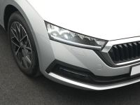 Skoda Octavia - Vorschau Bild 19