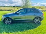 Audi SQ5 3.0 TDI competition tiptronic quattro -   - gebrauchte Audi SQ5 aus dem Jahr 2017