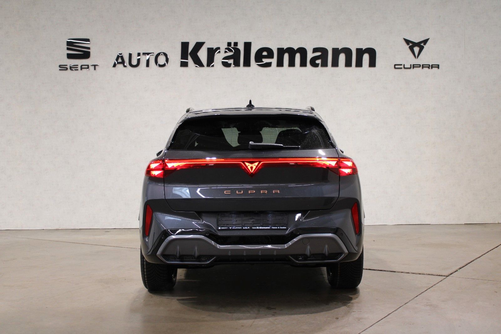 Cupra Terramar - Bild 6