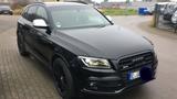 Audi SQ5 3.0 TDI plus quattro mit Soundsystem - Audi SQ5 in Gelsenkirchen
