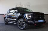 Ford F150 5.0 V8 SuperCrew/PANO/SHZ/SBL/TOTW/AHK/R20 - Ford F 150: Supercrew