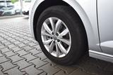 Volkswagen Polo 1.0 TSI Highline LED Climatronic - gebrauchte Kleinwagen in Ulm
