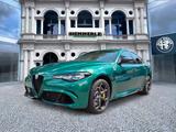 Alfa Romeo Giulia Quadrifoglio ORO 2.9 V6 Bi-Turbo - Alfa Romeo: Grün