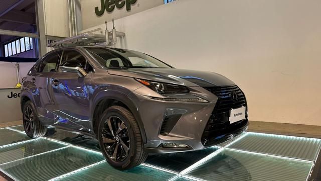 Lexus LEXUS NX 300 Hybrid 4WD Luxury