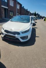 Kia pro_cee'd / ProCeed 1.6 T-GDI GT-Track pro_c... - Kia pro cee'd / ProCeed aus 2014