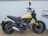 Ducati Scrambler 800  mit Gewährleistung - DUCATI GELB