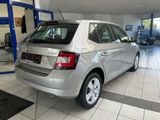 Skoda Fabia 1.0 TSI-95 Ambition,Sitzheiz., Parkh., Alu - Skoda Fabia: Beige
