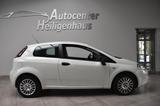 Fiat Punto 1.2 Pop Klima CityLenkung Allwetter CD - Fiat Punto Gebrauchtwagen