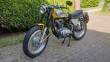 Ducati 450 Scrambler - DUCATI 450 SCRAMBLER