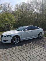 Jaguar JAGUAR XF 3.0 - gebrauchte Jaguar XF aus dem Jahr 2014
