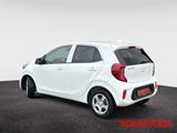 Kia Picanto 1.0 Vision Autom. Klimaautom. Navi Kamer - Kia mit Benzin-Antrieb: Kleinwagen, Automatik