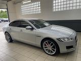 Jaguar XF Pure - gebrauchte Jaguar XF aus dem Jahr 2019