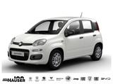 Fiat Panda ICON Hybrid 1.0 GSE KLIMA PDC 5-SITZER - Fiat: Sitzer
