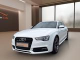 Audi A5 Sportback 3.0 TFSI quattro/Xenon/Leder/S-Line - Audi A5: Weiß