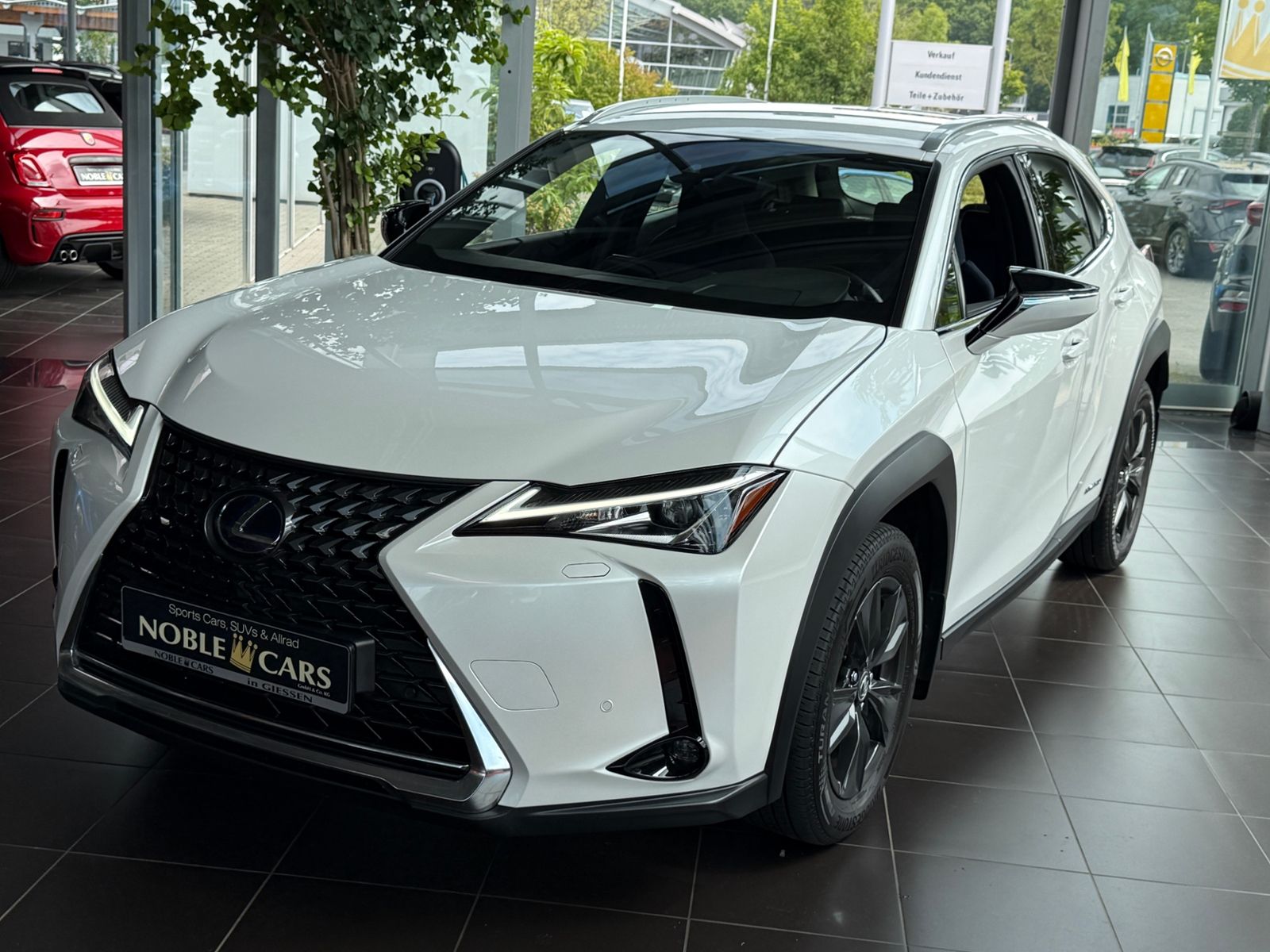 Fahrzeugabbildung Lexus UX 250 h Launch Edition LED NAV RFK SHZ ALU