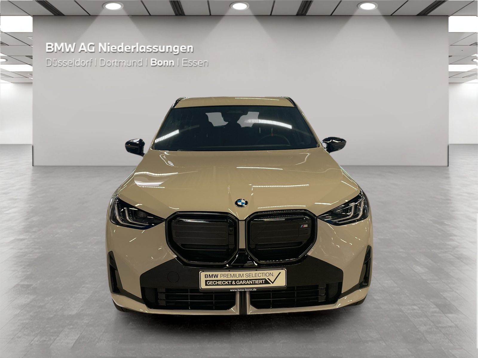 BMW X3 M50 - Bild 8
