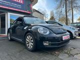 Volkswagen Beetle 1.2 TSi PANO/SHZ/PDC/RCD510/FENDER/LM - Volkswagen Beetle: Kleinwagen