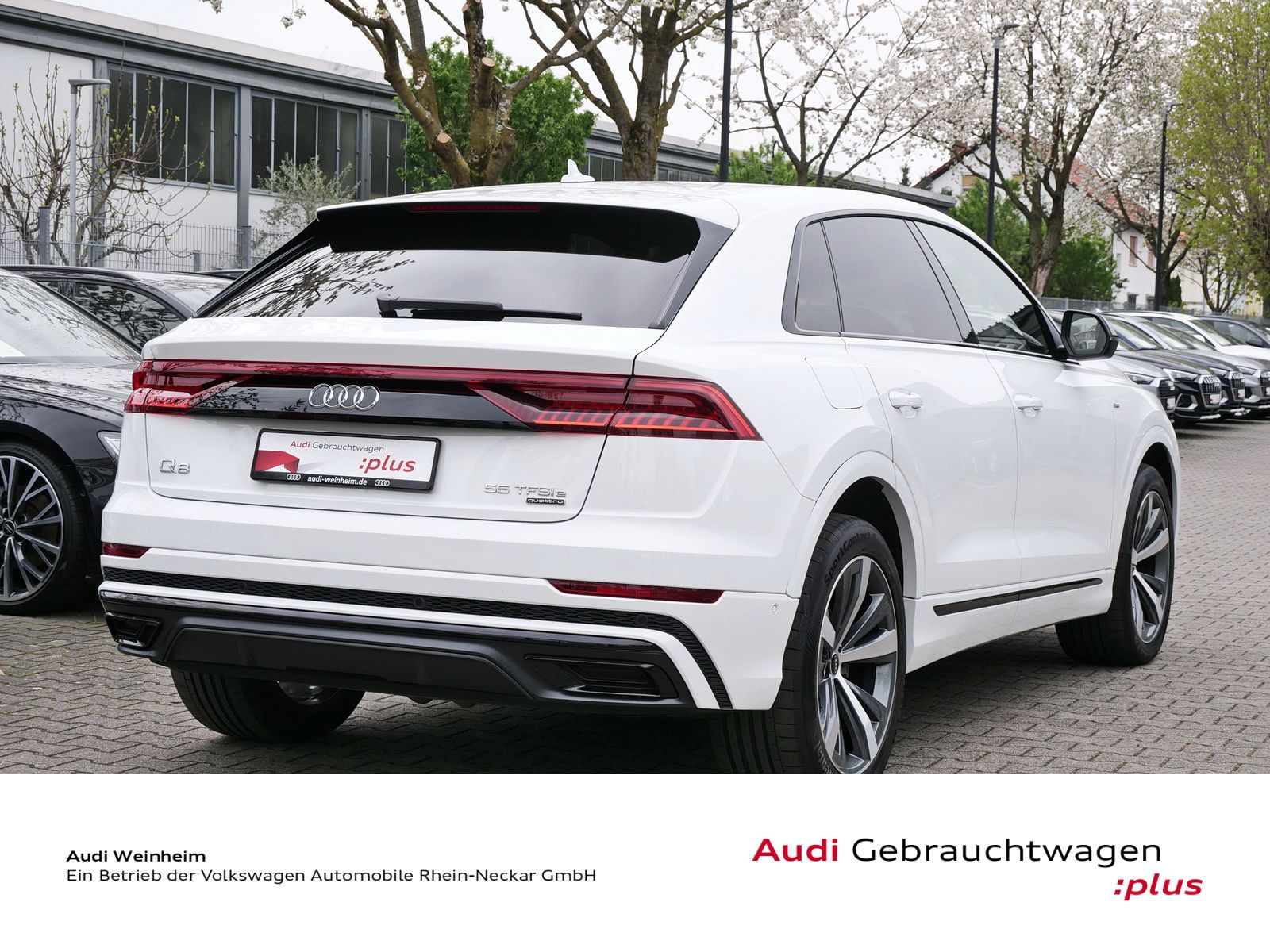 Audi Q8 - Bild 6