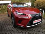 Lexus NX 300h E-FOUR Luxury Line Hybrid Benzin/Elektro - Lexus: Nx