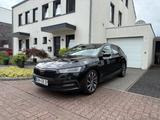Skoda Octavia 2.0 TDI 110kW DSG FIRST EDIT. PANO+GARAN - Skoda Gebrauchtwagen in Bocholt