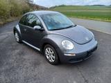 Volkswagen Beetle 1.4 Klima, CD-Wechsler, TÜV bis 12.2027 - gebrauchte VW Beetle aus dem Jahr 2006