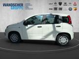Fiat Panda MY25 Hybrid *PDC*Tempomat*Isofix* - Fiat Panda in Oldenburg