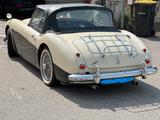 Austin Healey MK1 3000 BN7 - Austin Healey: Bn7