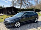 Audi A3 Sportback 2.0 TDI Quattro,6Gang,Motor 81tkm!! - Audi A3: Motor