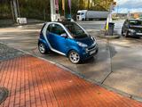Smart Fortwo - Smart Gebrauchtwagen in Osnabrück