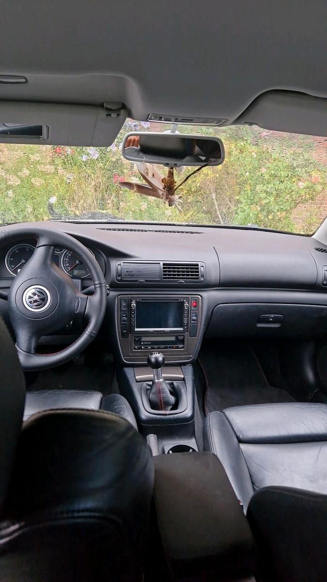 Volkswagen Passat 2004 — салон
