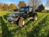 Jeep Wrangler YJ 4.0 Broadway LPG Klima St... - gebrauchte Jeep Wrangler aus dem Jahr 1992