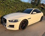 Jaguar XE 20t 200PS R-Sport Automatik R-Sport / 19 Zoll - weiße Jaguar XE