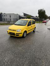 Fiat Panda 1.2  TÜV NEU  Sehr gepflegt - Fiat Panda in Lübeck