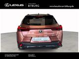 Lexus UX 300 h F-Sport Design 15 Jahre Lexus Relax Gar - Lexus UX Tageszulassungen