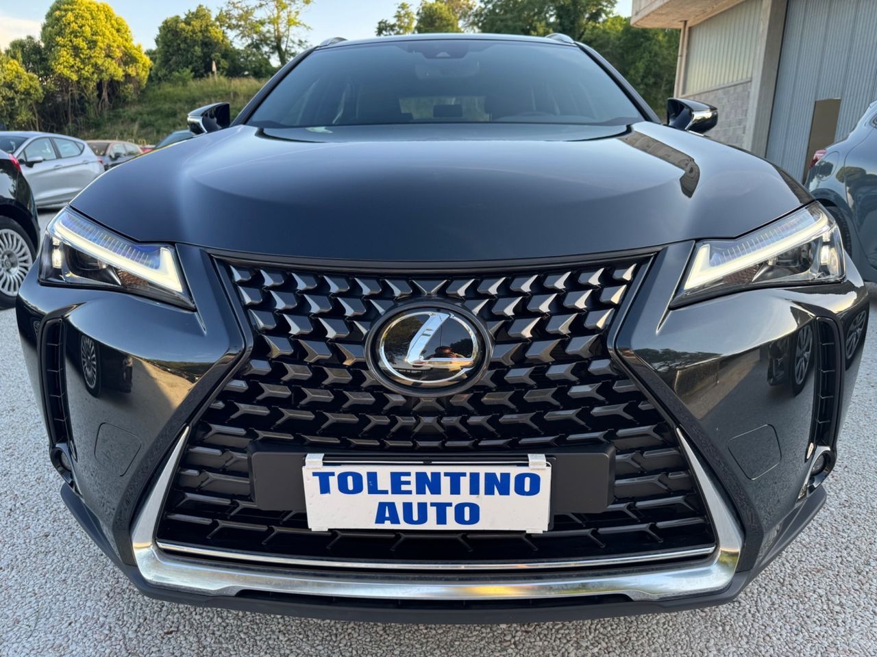 Other Lexus UX 250H 2.0 Hybrid 145Cv Design 2WD imagem 2