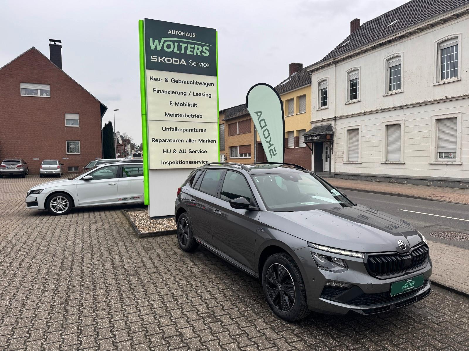 Skoda Kamiq Monte Carlo Matrix ACC AHK