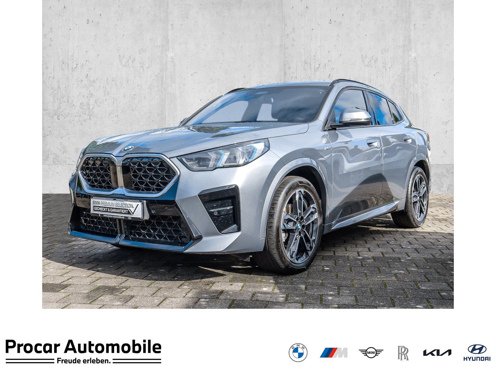 BMW X2 sDrive20d M Sport AHK RFK NAVI LED PDC V H foto 1