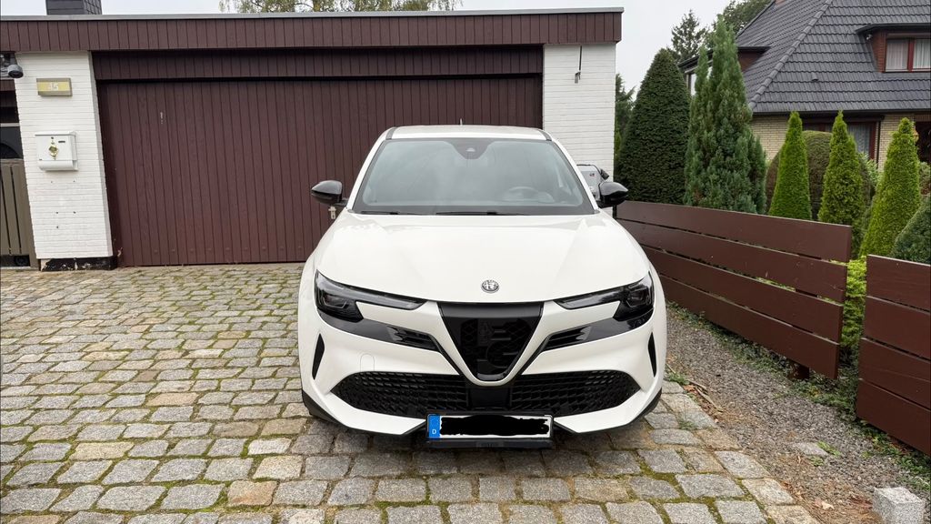 Image of Alfa Romeo Junior