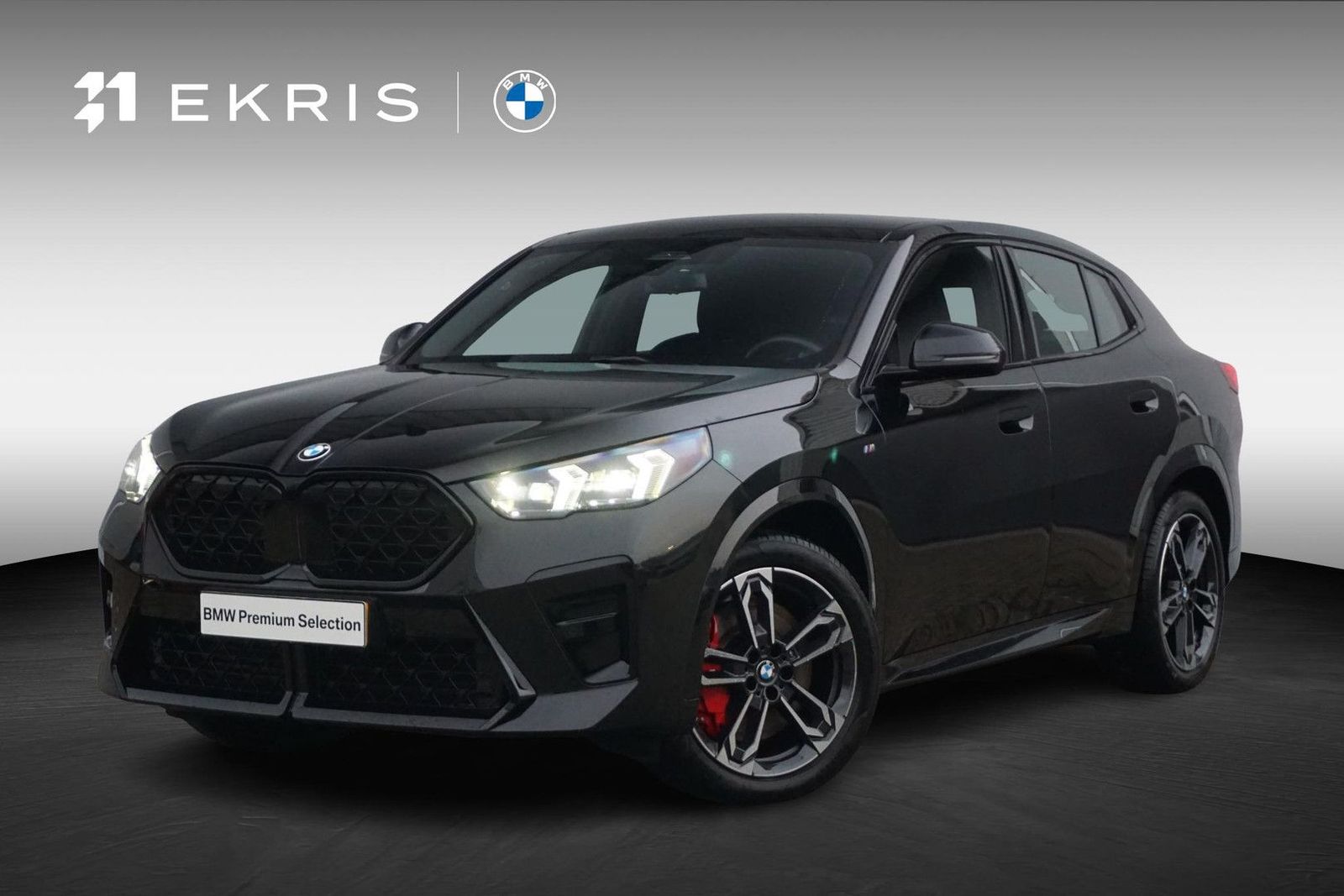 BMW X2 sDrive18d M Sportpaket Pro 19'' / Harman Kard