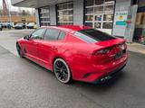 Kia Stinger 2.0 TGDI GT-Line PANO|Headup|360°|4xSHZ - Kia: 3.0