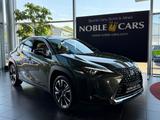 Lexus UX 250 h Luxury Line PANO 360° HUD M/L - Lexus aus 2021