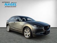 Mazda CX-30 - Vorschau Bild 3