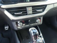 Fahrzeugabbildung Skoda Kamiq 1.0 TSI DSG MONTE CARLO *LED*NAV*FSH*BT*