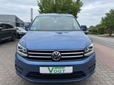 Volkswagen Caddy PKW Comfortline BMT 4Motion SHZ/ACC/NAVI - Volkswagen Caddy: Blau, Motion