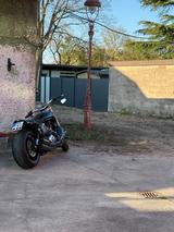 Harley-Davidson V-Rod Muscle  - Angebote