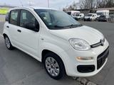 Fiat Panda 1.2/ServiceNeu/TÜV/AC/EU5/EZ01-2013/51kW - Fiat Panda Gebrauchtwagen in Nürnberg