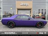 Dodge Challenger T A 5.7l V8 KAMERA ACC NAVI Sportpake - Dodge Neuwagen