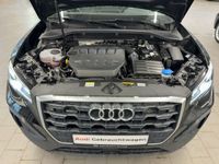 Audi Q2 - Vorschau Bild 20