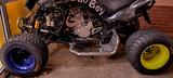 Dinli DL 901 - DINLI MOTORRAD