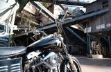 Harley-Davidson Shovelhead FXSB, Low Rider  - HARLEY-DAVIDSON CHOPPER SHOVEL